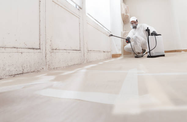 24/7 Emergency Basement Mold Remediation experts in Wayne, PA